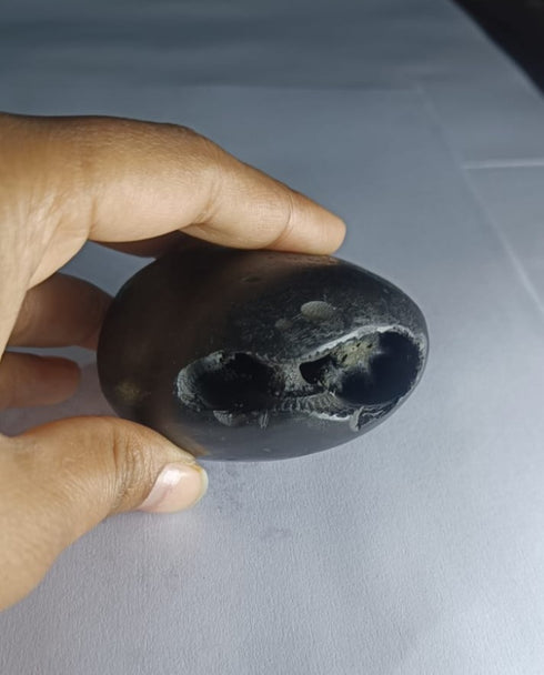 Damodar Shaligram 171g