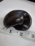 Hayagriva Shaligram from Gandaki River