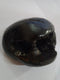 Original Hayagriva Shaligram from Gandaki River