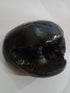 Original Hayagriva Shaligram from Gandaki River