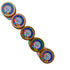 Natuur Holi Joy Pack 5 Vibrant Colors