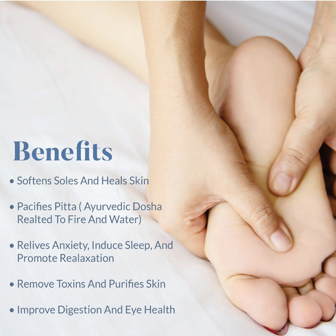 Ohria Ayurveda Amrit Ras Foot Balm