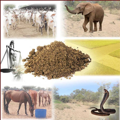 Vedicvaani Sapta Mritika (Mitti)