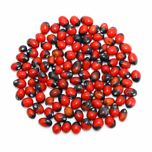 Vedicvaani Chirmi beads - red