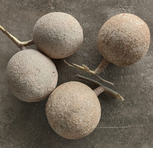 Wood Apple For Ganesh Pooja (one)