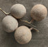 Wood Apple For Ganesh Pooja (one)
