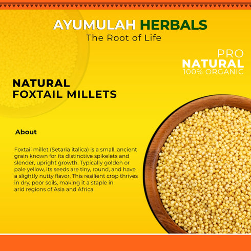 Ayumulya Foxtail Millets