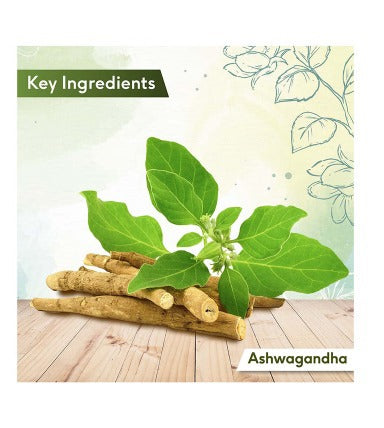 Sri Sri Tattva Ashwagandha 500mg 60 Tablets