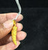 22 Carat Gold Tiger'S Nail Locket 2.06g by Mahita Collections