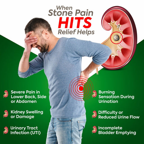 Jeena Sikho Ayurvedic Medicine for Kidney Stone Pathri Shuddhi Kit