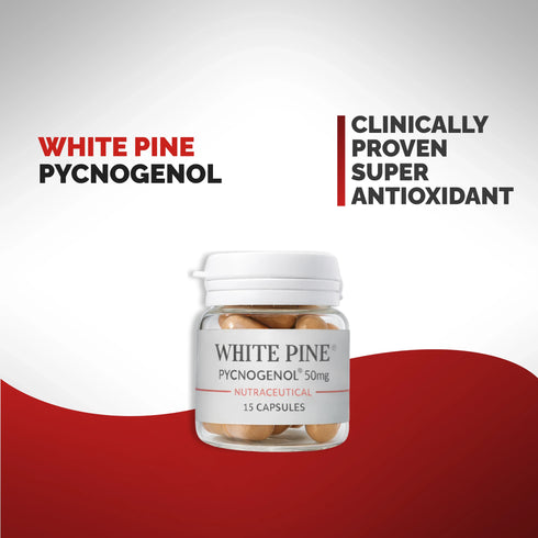 Chosen White Pine Pycnogenol