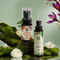 Suyu India All You Need Bundle Astaxanthin Night Elixir Dandelion Brightening Face Wash