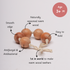 Ariro Toys Wooden Grasping beads