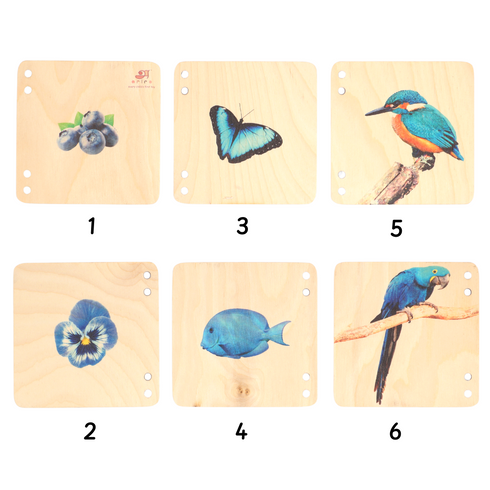 Ariro Toys Wooden Pictorial Books- Primary colours
