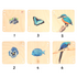 Ariro Toys Wooden Pictorial Books- Primary colours