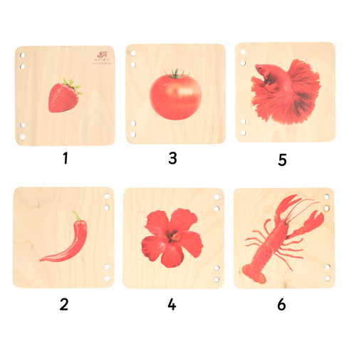 Ariro Toys Wooden Pictorial Books- Primary colours
