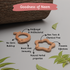 Ariro Toys Wooden Teethers - Mango and Star