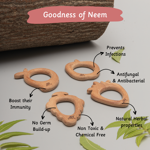 Ariro Toys Wooden Teethers - Fruits