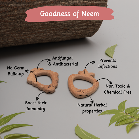 Ariro Toys Wooden Teethers - Grape and Carrot