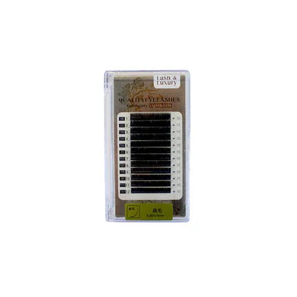 Shills Professional Classic Eyelash-Y-C