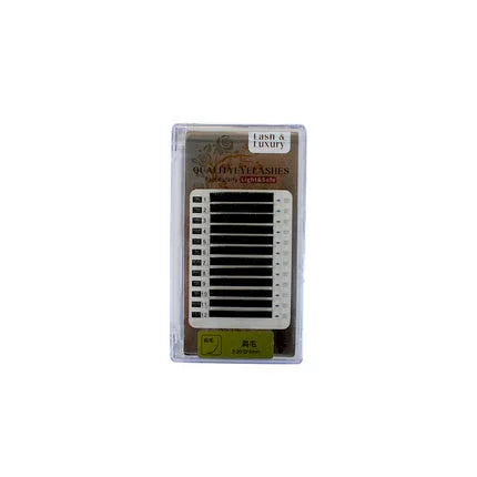 Shills Professional Classic Eyelash-Y-D