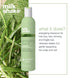Milk shake energizing blend shampoo