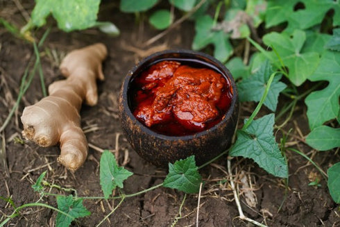 Koripalli Pickles Ginger Pickle