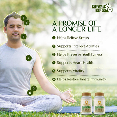 Maharishi Ayurveda Amrit Kalash Sugar Free Dual Pack