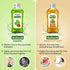 Keya Seth Aromatherapy Ankush Antiseptic Disinfectant Liquid