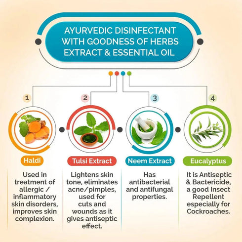 Keya Seth Aromatherapy Ankush Antiseptic Disinfectant Liquid