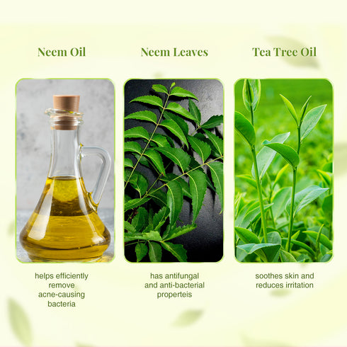 Ayurveda Skin Purifying Double Power Double Neem Face Wash