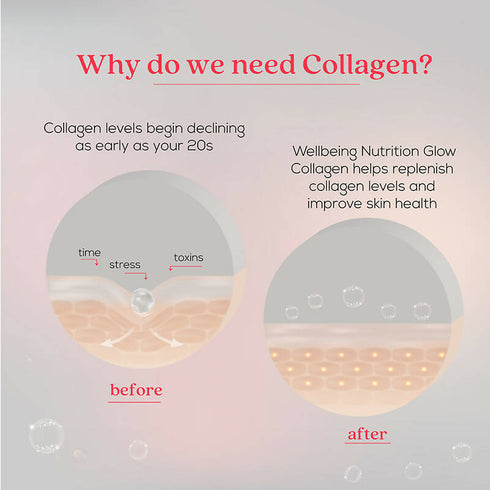 Wellbeing Nutrition Glow Korean Marine Collagen Peptides