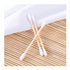 Bamboo India Bamboo Cotton Buds (100 Sticks) + Bamboo Charcoal Brush