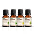 Vasuestore Vasu Aromatics Combo of Basil Peppermint Lemon Lemongrass Essential Oil