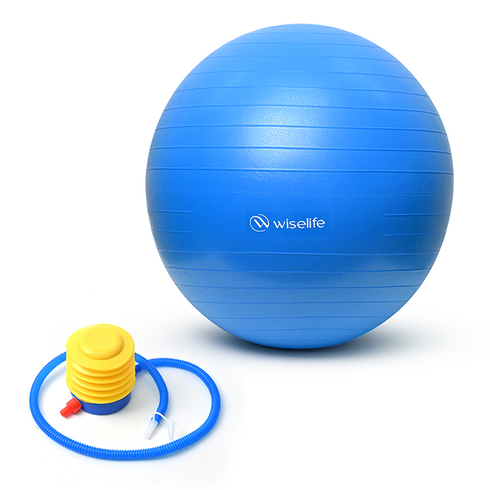 Wiselife Gym Ball