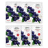 Keya Seth Aromatherapy Blueberry Face Brightening Mask