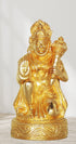 Brass Hanuman Ji Statue 1.22Kg