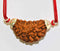 Natural Rudraksha With Silver Plated Capping Lab Tested