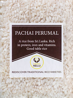 Sempulam Sustainable Solution - Patchaiperumal