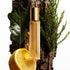 Tom Ford Costa Azzurra