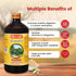 Baidyanath Jeerkadyarishta 450ml