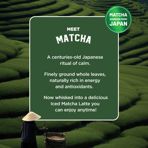 Sleepy Owl Coffee Classic Iced Matcha Premix