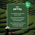 Sleepy Owl Coffee Classic Iced Matcha Premix