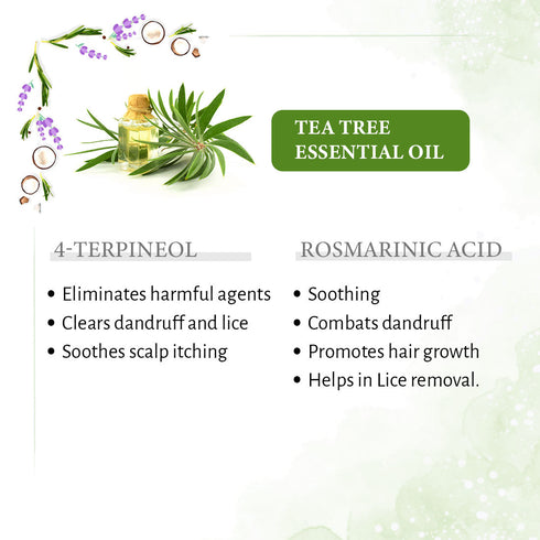 Keya Seth Aromatherapy 1% Tea Tree & 99% Coconut Oil