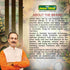 Jeena Sikho Shirsholadi Vajra Ras Ayurvedic Headache and Stress Support Tablets