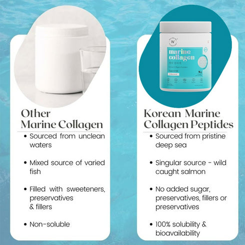Wellbeing Nutrition Pure Korean Marine Collagen Powder