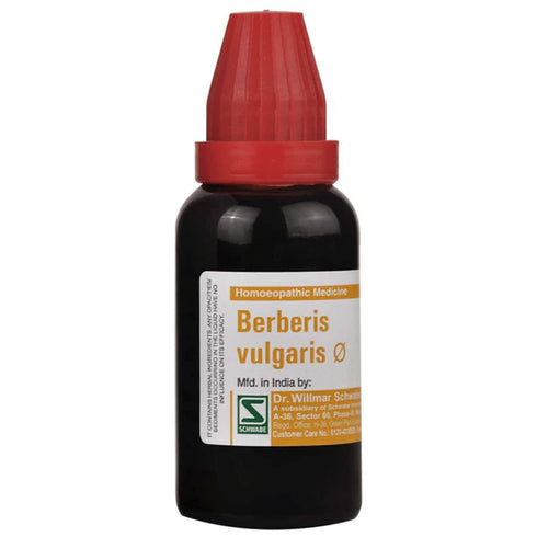 Dr Willmar Schwabe India Berberis Vulgaris Mother Tincture Q