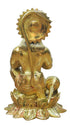 Brass Hanuman Ji Statue Idol 9.9 Kg