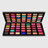 Colors Queen 70 Color Eyeshadow | 105 Gram
