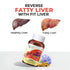 Fytika Healthcare Products Fytika Fit Liver Liver Detox Supplement Liver Detox with Milk Thistle Kalmegh Kutaki Kasani Haldi